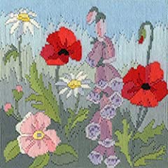 Derwentwater Designs Cross Stitch Kit - Long Stitch for sale  Delivered anywhere in UK