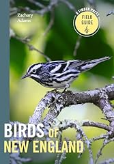 Birds new england gebraucht kaufen  Wird an jeden Ort in Deutschland