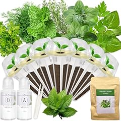 Gourmet herb seed for sale  Delivered anywhere in USA 