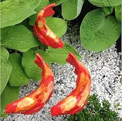 Tayash koi fish for sale  Delivered anywhere in USA 