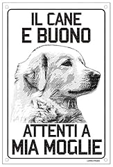 Lovelytiles cane pastore usato Lovelytiles cane pastore usato  Spedito ovunque in Italia