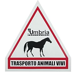 Umbria equitazione cartello usato  Spedito ovunque in Italia 