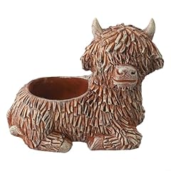 Highland cattle potted for sale  Delivered anywhere in UK