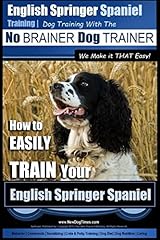 English springer spaniel for sale  Delivered anywhere in USA 