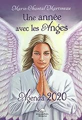 Année anges agenda d'occasion  Livré partout en France