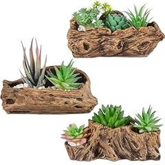 Sunnychicc pcs driftwood for sale  Delivered anywhere in USA 