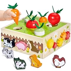Joycat montessori toys for sale  Delivered anywhere in USA 