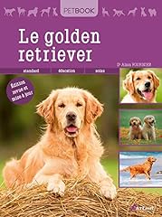 golden retriever saillie d'occasion  Livré partout en France