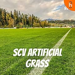 Scv artificial grass d'occasion  Livré partout en France