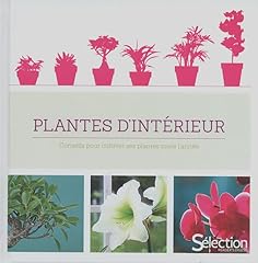 Plantes intérieur d'occasion  Livré partout en Belgiqu