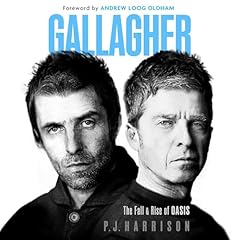 Gallagher for sale  Delivered anywhere in UK