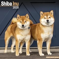 Shiba inu calendar d'occasion  Livré partout en Belgiqu