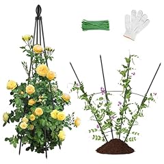Alisisfores pack garden for sale  Delivered anywhere in USA 
