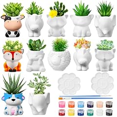 Hushee sets diy for sale  Delivered anywhere in USA 