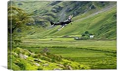 Spitfire inthe weeds for sale  Delivered anywhere in UK