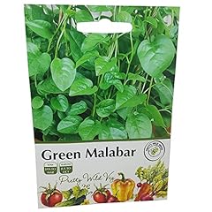 Green malabar seeds for sale  Delivered anywhere in UK