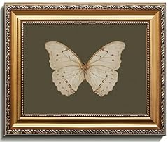 Uniro vintage gold for sale  Delivered anywhere in USA 