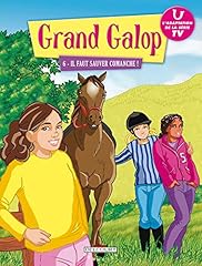 Faut sauver comanche d'occasion  Livré partout en Belgiqu