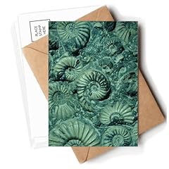 Nautilus ammonites postkarten gebraucht kaufen  Wird an jeden Ort in Deutschland