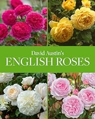 David austin english for sale  Delivered anywhere in UK