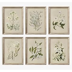 Vintage botanical wall for sale  Delivered anywhere in USA 