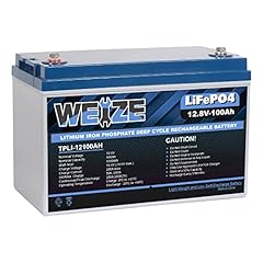 Weize 12v 100ah for sale  Delivered anywhere in USA 