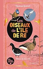 Oiseaux ile re d'occasion  Livré partout en Belgiqu