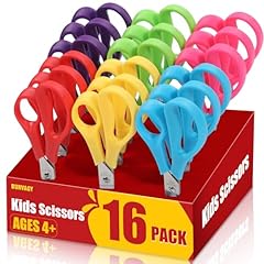 Burvagy 16pack 5.5 for sale  Delivered anywhere in USA 