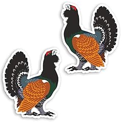 10cm capercaillie grouse for sale  Delivered anywhere in UK