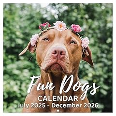Calendar 2025 2026 for sale  Delivered anywhere in USA 