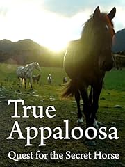 True appaloosa for sale  Delivered anywhere in UK