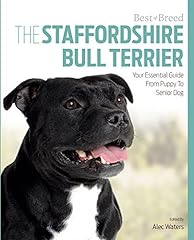 Staffordshire bull terrier for sale  Delivered anywhere in USA 