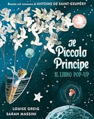 Piccolo principe. libro usato  Spedito ovunque in Italia 