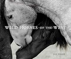 Wild horses west for sale  Delivered anywhere in USA 