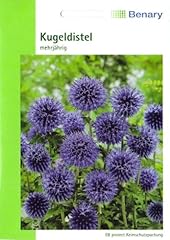 Kugeldistel echinops ritroca gebraucht kaufen  Wird an jeden Ort in Deutschland