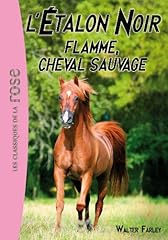 étalon noir flamme for sale  Delivered anywhere in UK