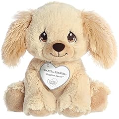 Aurora inspirational precious for sale  Delivered anywhere in USA 