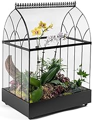 Potter large terrarium for sale  Delivered anywhere in USA 