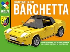 Costruisci tua barchetta usato  Spedito ovunque in Italia 