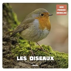 Animalier oiseaux d'occasion  Livré partout en Belgiqu