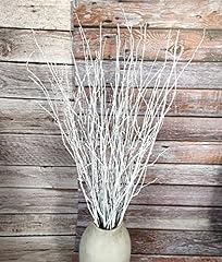 Decorative birch branches for sale  Delivered anywhere in USA 