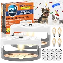 Pack flea traps for sale  Delivered anywhere in USA 
