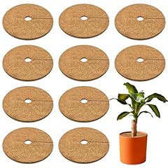 Zeedix pcs coconut for sale  Delivered anywhere in USA 