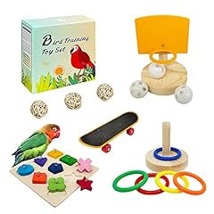 Bird toys parakeets for sale  Delivered anywhere in USA 