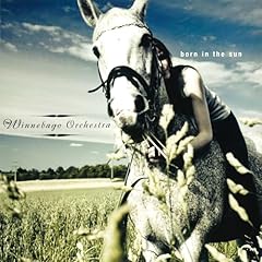 Born the sun d'occasion  Livré partout en France