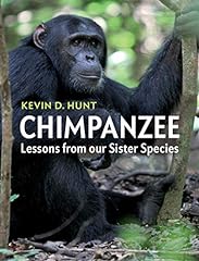 Chimpanzee lessons sister for sale  Delivered anywhere in UK