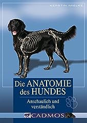 Anatomie hundes anschaulich gebraucht kaufen  Wird an jeden Ort in Deutschland