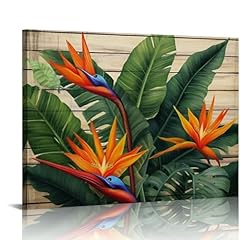 Fuxidura bird paradise for sale  Delivered anywhere in USA 