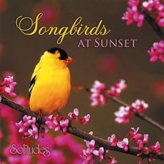 Songbirds sunset for sale  Delivered anywhere in USA 