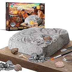 Discovery mindblown colossal for sale  Delivered anywhere in USA 